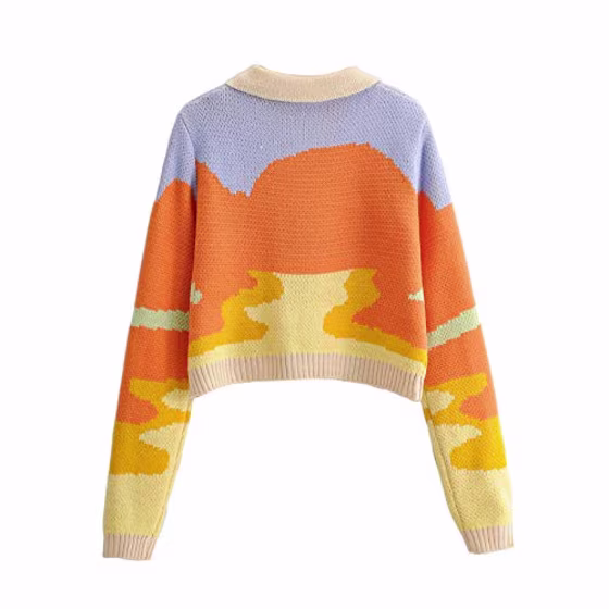 The GuliriFei Y2K Button Down Casual Knit Sweater