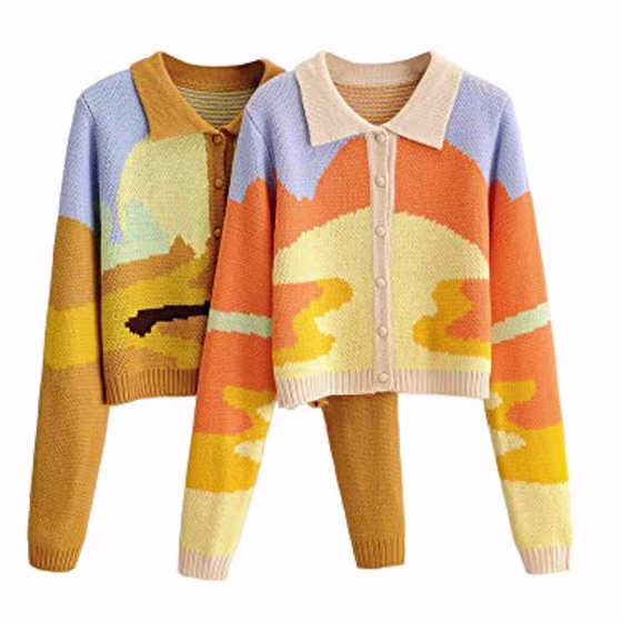 The GuliriFei Y2K Button Down Casual Knit Sweater