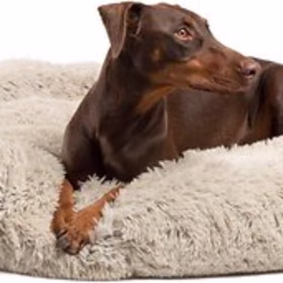 Best Friends by Sheri Calming Donut Cuddler