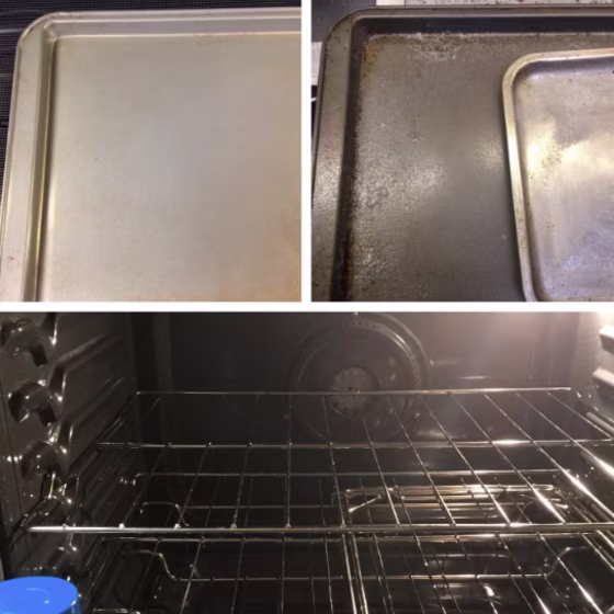 Professional Fume Free Max Oven Cleaner