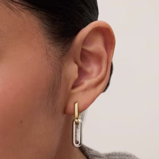 14K Two-Toned Convertible Link Earrings