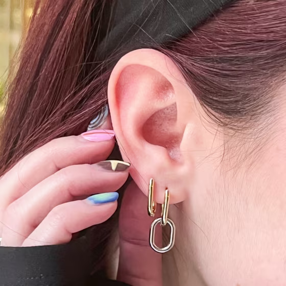 14K Two-Toned Convertible Link Earrings