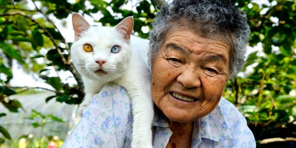 Best friends forever: One cat lady's sweet story