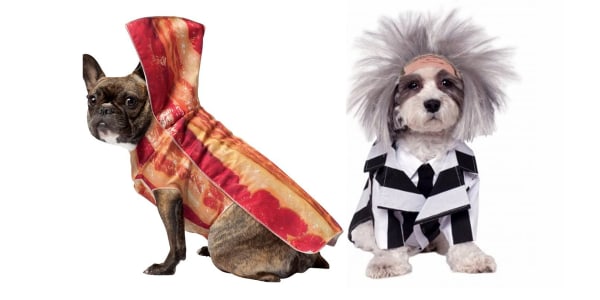 27 of the funniest pet Halloween costumes