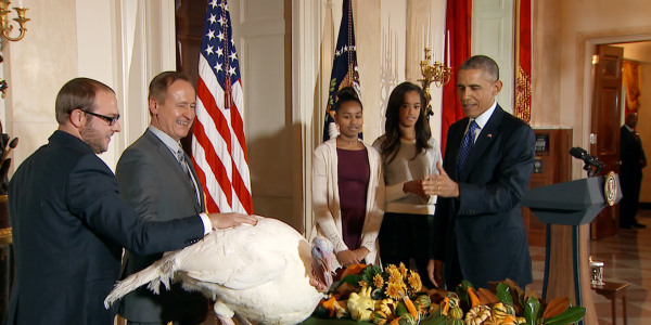 Free birds: Presidential turkey pardons
