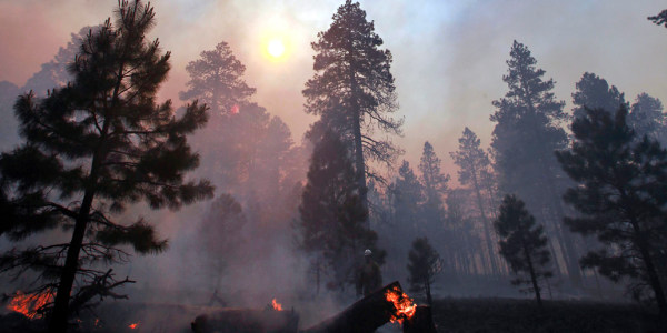 Wildfire blaze across Flagstaff