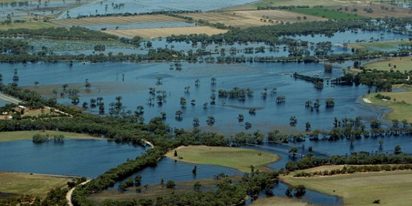 Australia's flood disaster continues