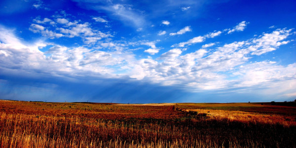 Best of 2009: It's a Snap!