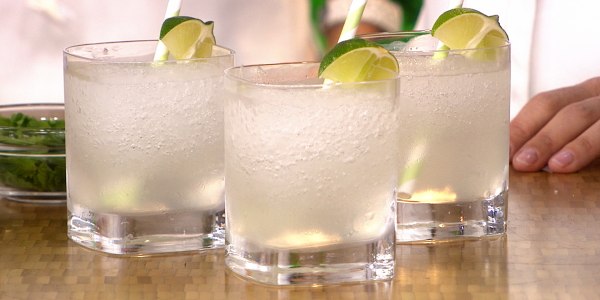 Slimmed Down Frozen Gin and Tonic