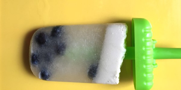 Blueberry, Chamomile and Mint Yogurt Popsicles