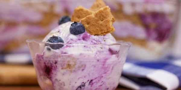 Blueberry cheesecake ice cream without churn