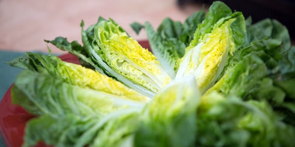 Little Gem Salad with Warm Garlic Dressing