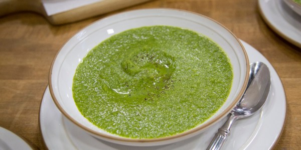 Healing Cream of Green's Soup