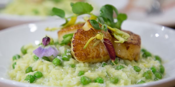 Green Pea Risotto with Scallops and Parmesan