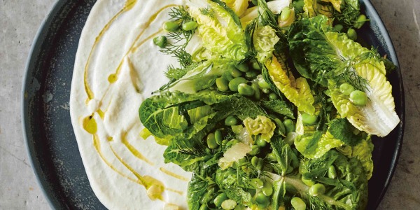 Fava Bean and Herb Salad with Toum