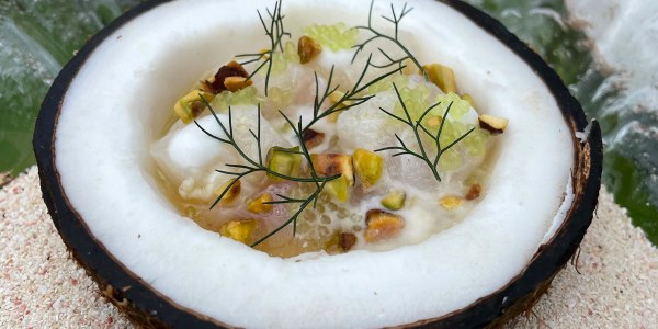 Ceviche in Young Coconut
