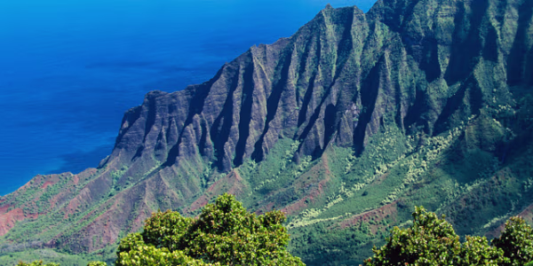 Hawaiian paradise