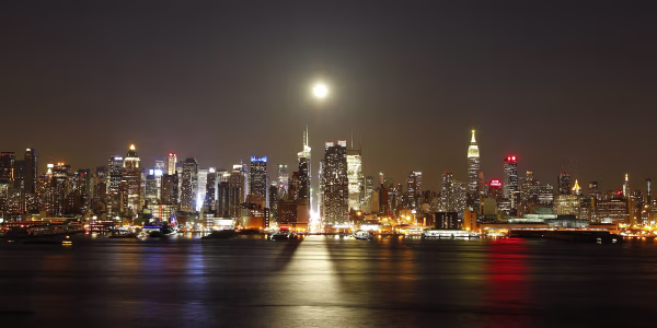 Take a Bite Out of The Big Apple