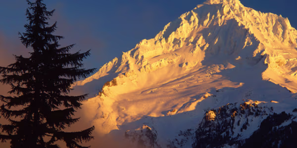 Great Northwest