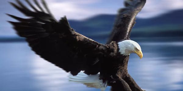 Amazing Alaska
