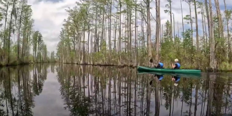 tours of okefenokee swamp