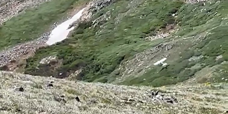 FAA Investigating Near Collision at Chicago’s Midway Airport