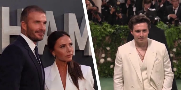 Cow in Austria uses broom to scratch herself插图21