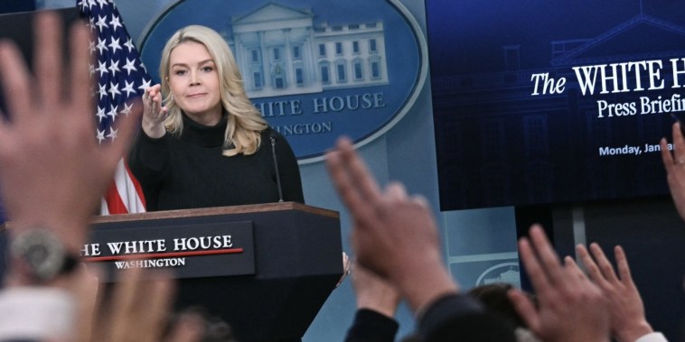White House questioned on characterization of Minneapolis shooting at press briefing插图24