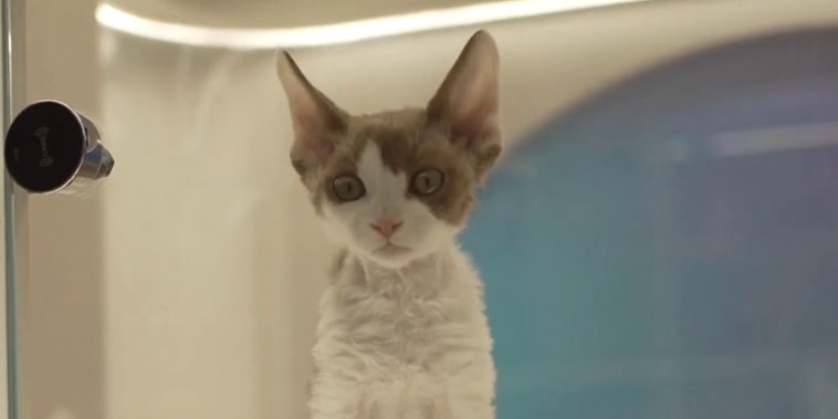 Man sprays substance at Rep. Ilhan Omar during town hall in Minneapolis插图23