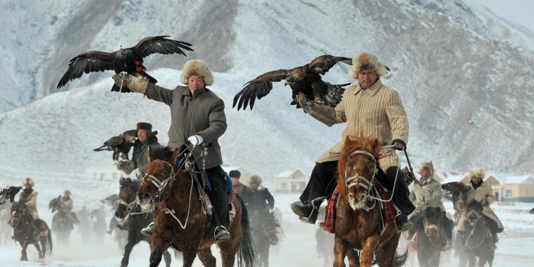 Herdsmen from the Kyrgyz ethnic group hold their falcons as they ride on horses during a hunting competition in Akqi county