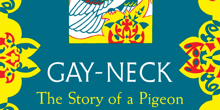 Image: Gay-Neck: The Story of a Pigeon