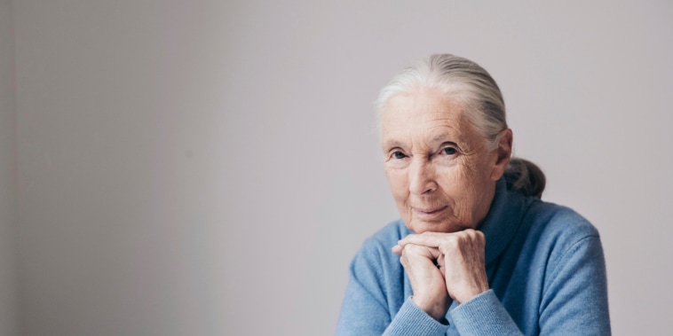 Image: Jane Goodall
