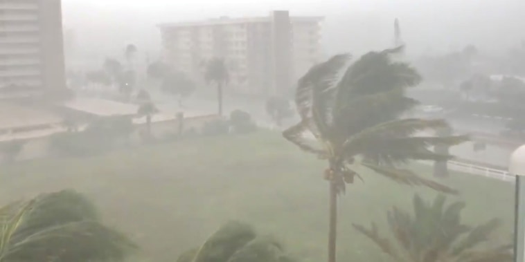 Image: Trees sway as Storm Gordon descends on Fort Lauderdale, Florida, U.S.