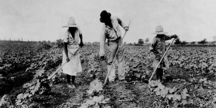 Image: A family of slaves work on a plantation.