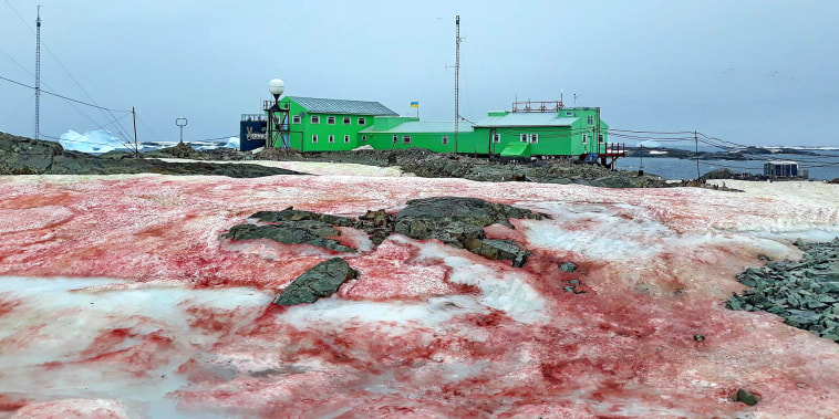 The ice around Ukraine's Vernadsky Research Base, located on Galindez Island, off the coast of Antarctica.