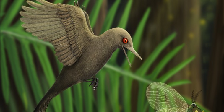 An artistic rendering of Oculudentavis imagining what it looked like preying on an insect.