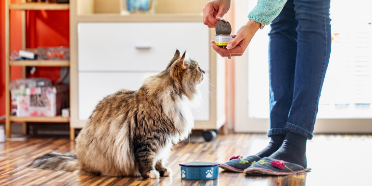 Woman feeding her cat canned cat food. Shop cat food brands including Royal Canin, Purina, Iams and Fancy Feast.