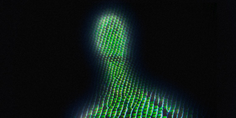 Image: Silhouette of a person with green lizard skin.