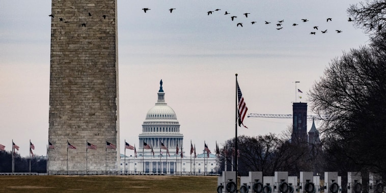 The Capitol is seen past the Washington Monument as a flock of Geese fly over the National Mall on Feb. 15, 2021.