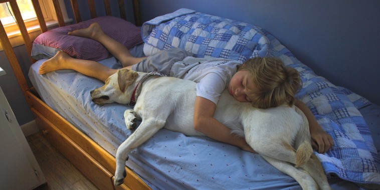 Boy sleeping on bed with dog
