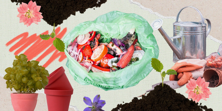 Photo illustration of composting bag and soul with plants on green craft paper
