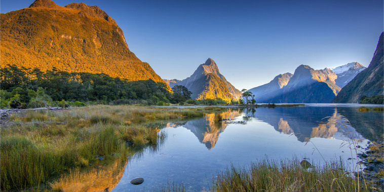 Dawn on the water's edge of the Deepwater Basin, Milford sound in the south island, New Zealand.