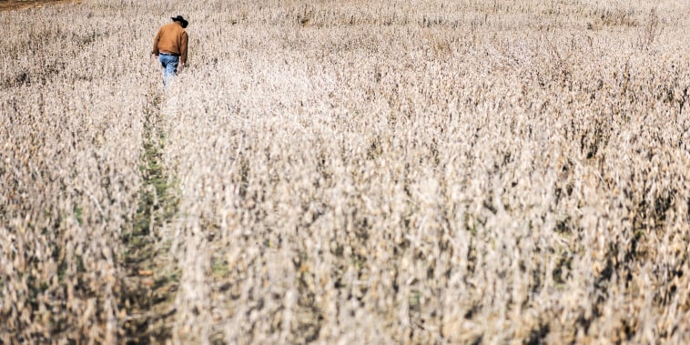 Image: Partial Government Shutdown - soybean subsidies