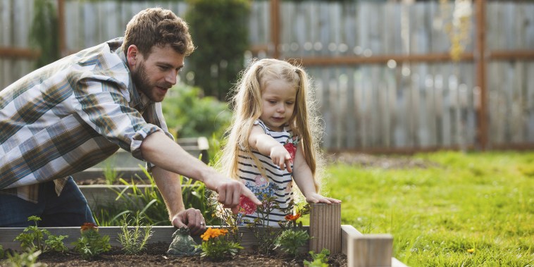 Father and daughter pointing on plant growing in raised bed