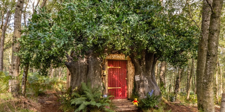 A Winnie the Pooh inspired house in Ashdown Forest, the original Hundred Acre Wood, is available to book on Airbnb as part of Disney's 95th Anniversary celebrations