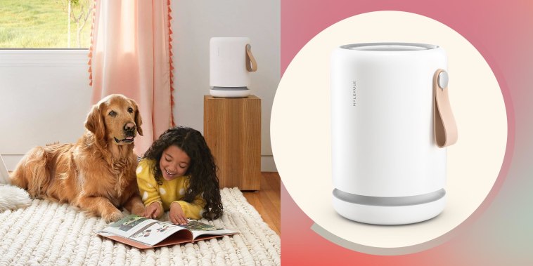 Illustration of a little girl and her dog next near a Molekule air purifier and a Molekule air purifier