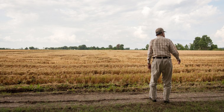 Image: A farmer surveys his land during a rice harvest on a farm in Bolivar County, Miss., on Sept. 15, 2020.