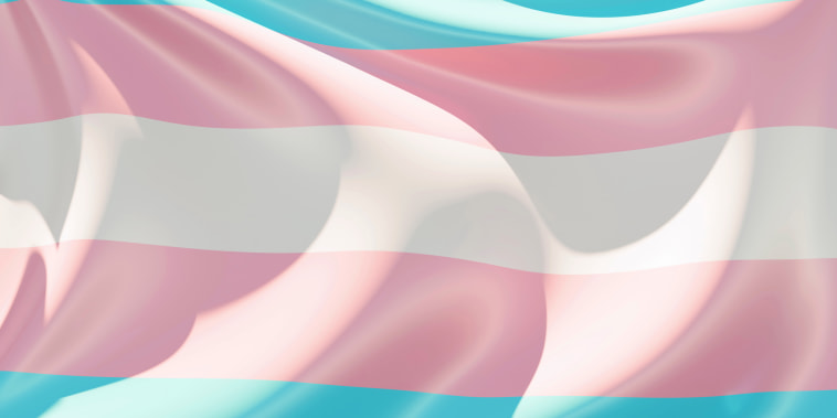 A transgender pride flag.d