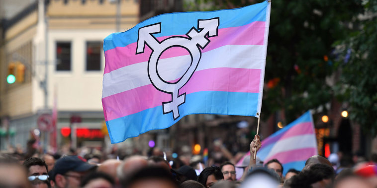 Image: transgender pride flag