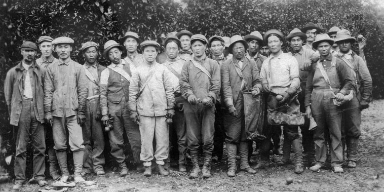 Ahn Chang Ho, Kap Suk Cho, and other workers at a Riverside orange orchard in the early 1900s.